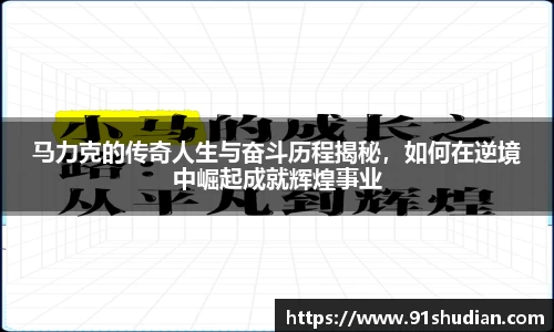 mk体育