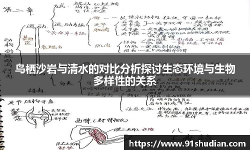 MK体育官网